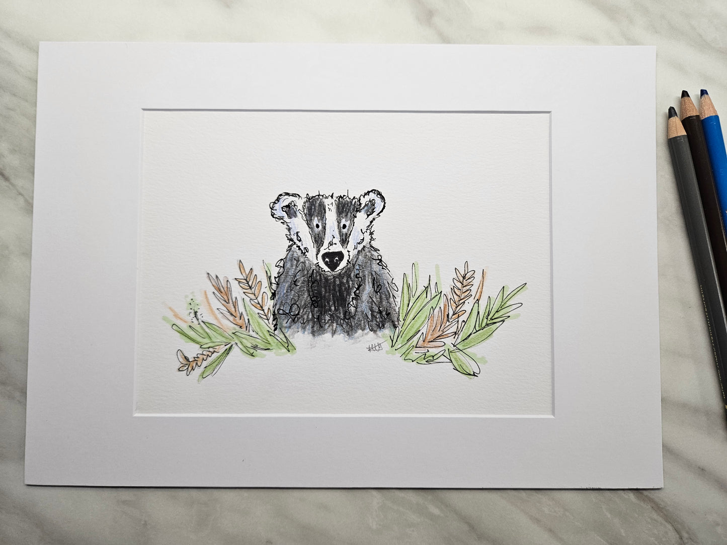 Badger illustration 'Billy'