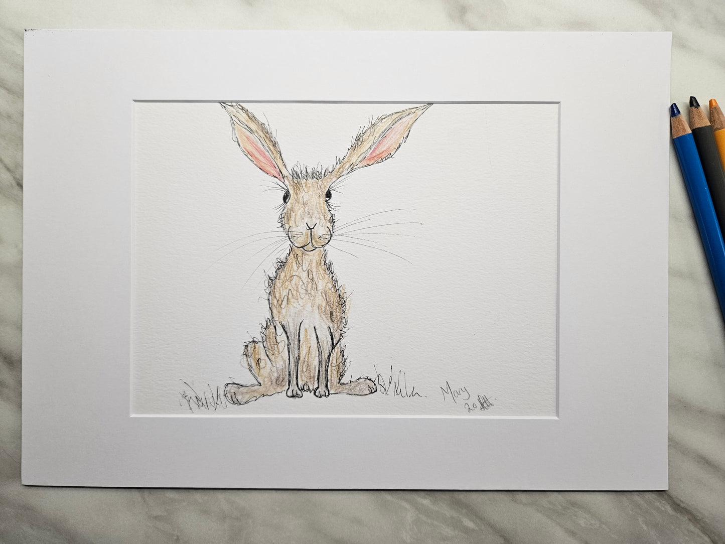 Hare 'Mary' illustration