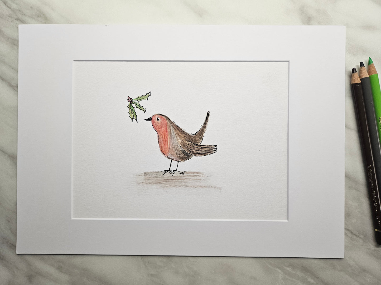 Little robin and holly illustration
