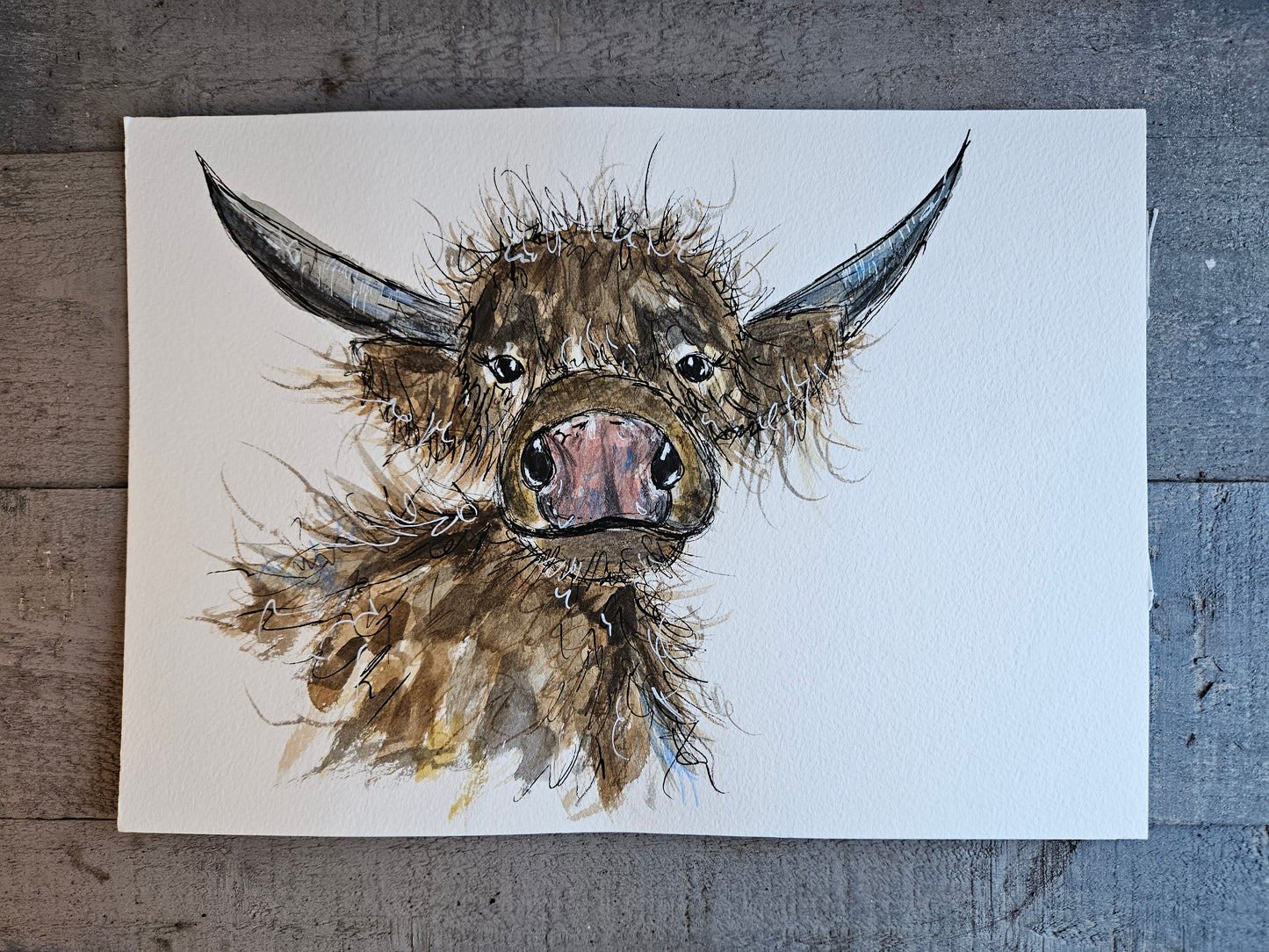 Buttons Highland cow