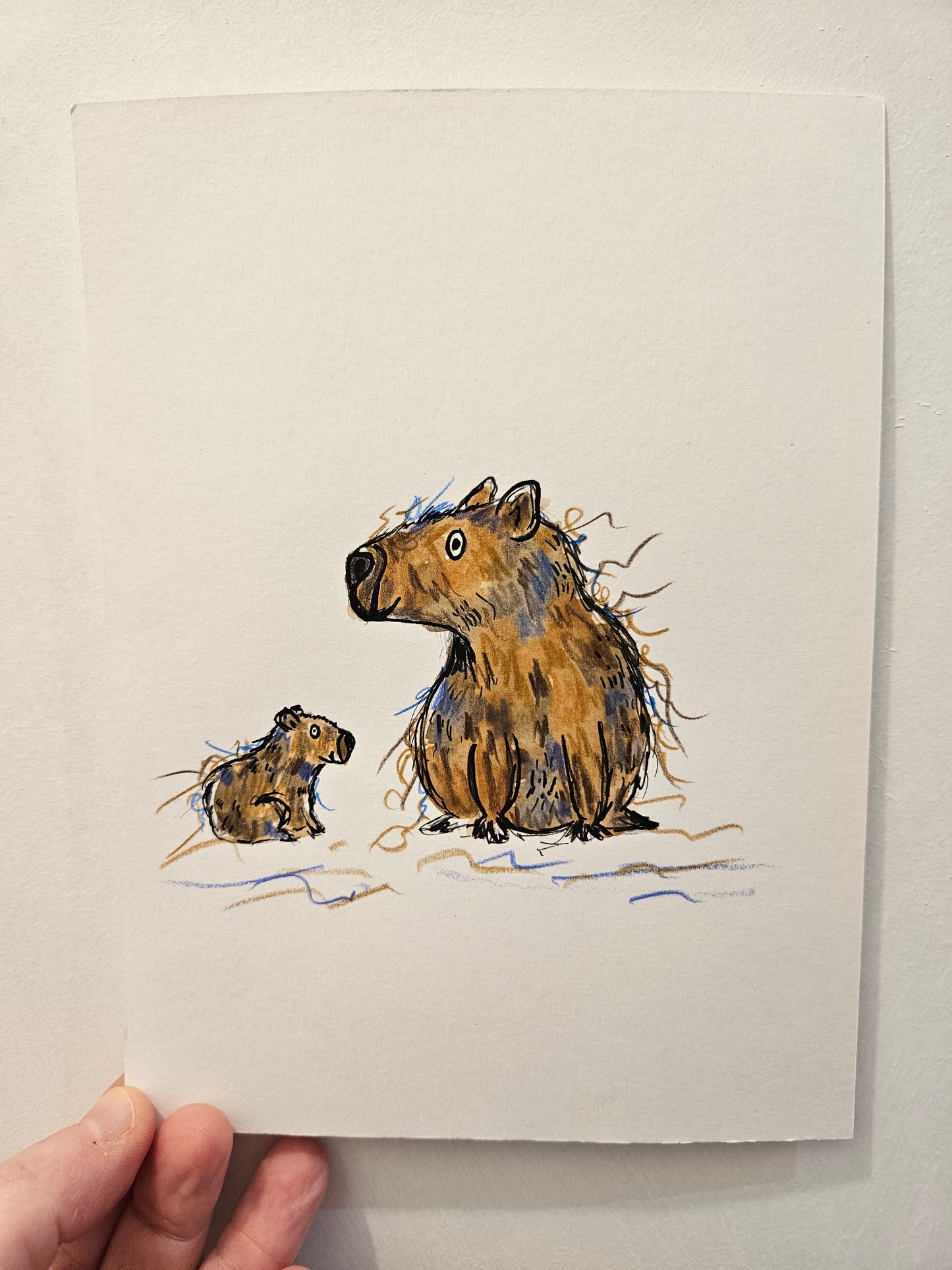 Betty and Bubbles capybara