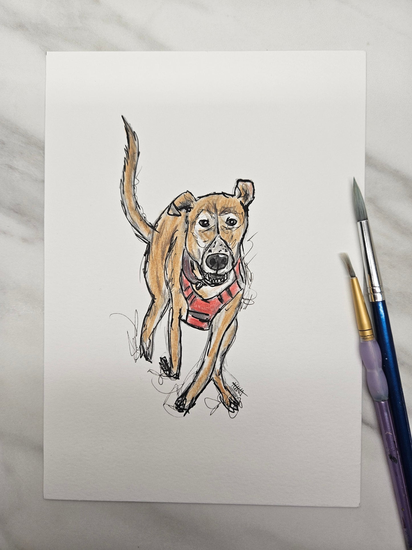 March 10th-
Mabel