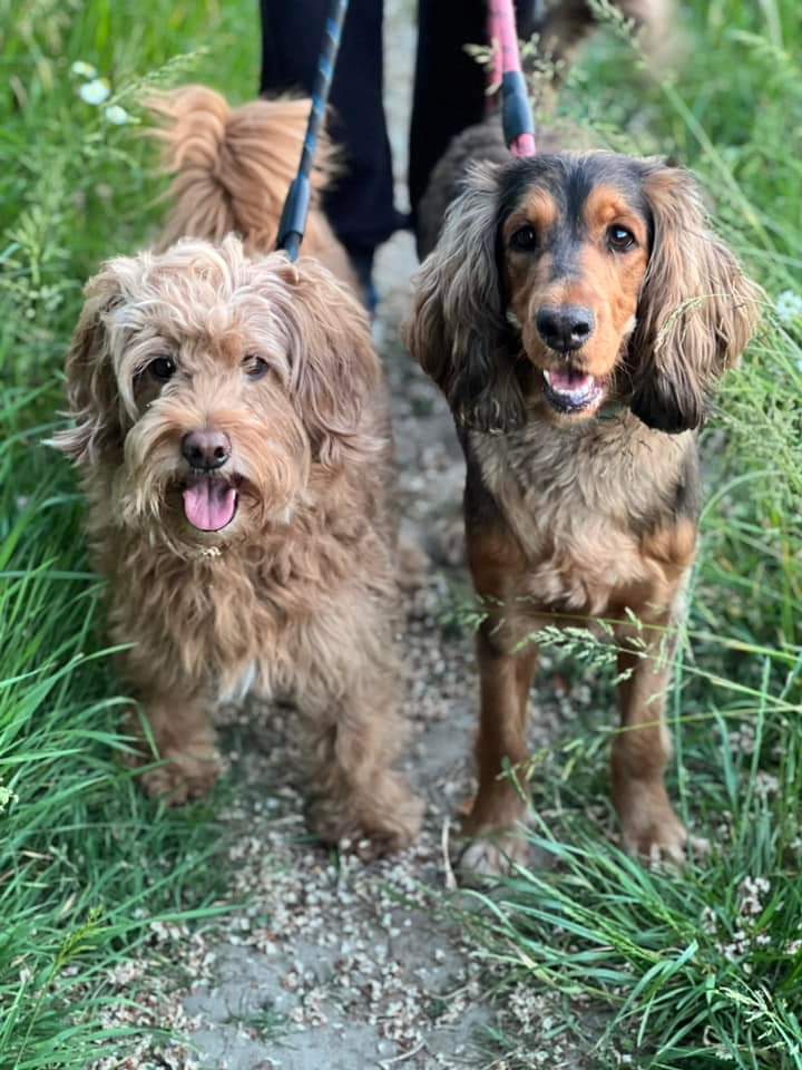 March 24th-
Buster and Ruby