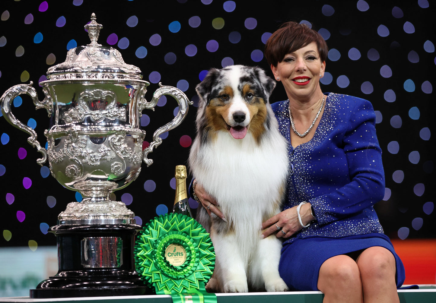 March 11th-
Viking crufts best in show 2024