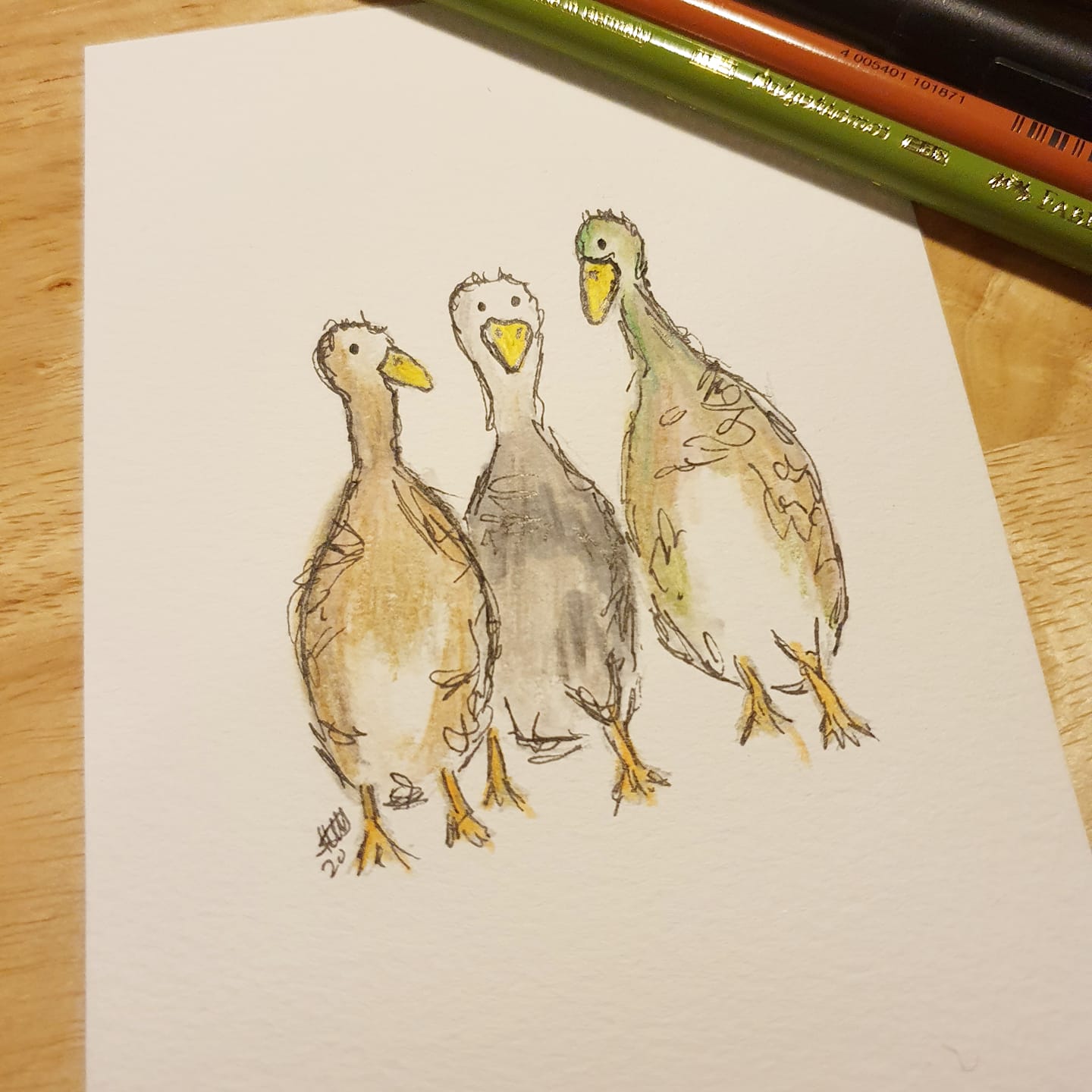 3 little ducks illustration