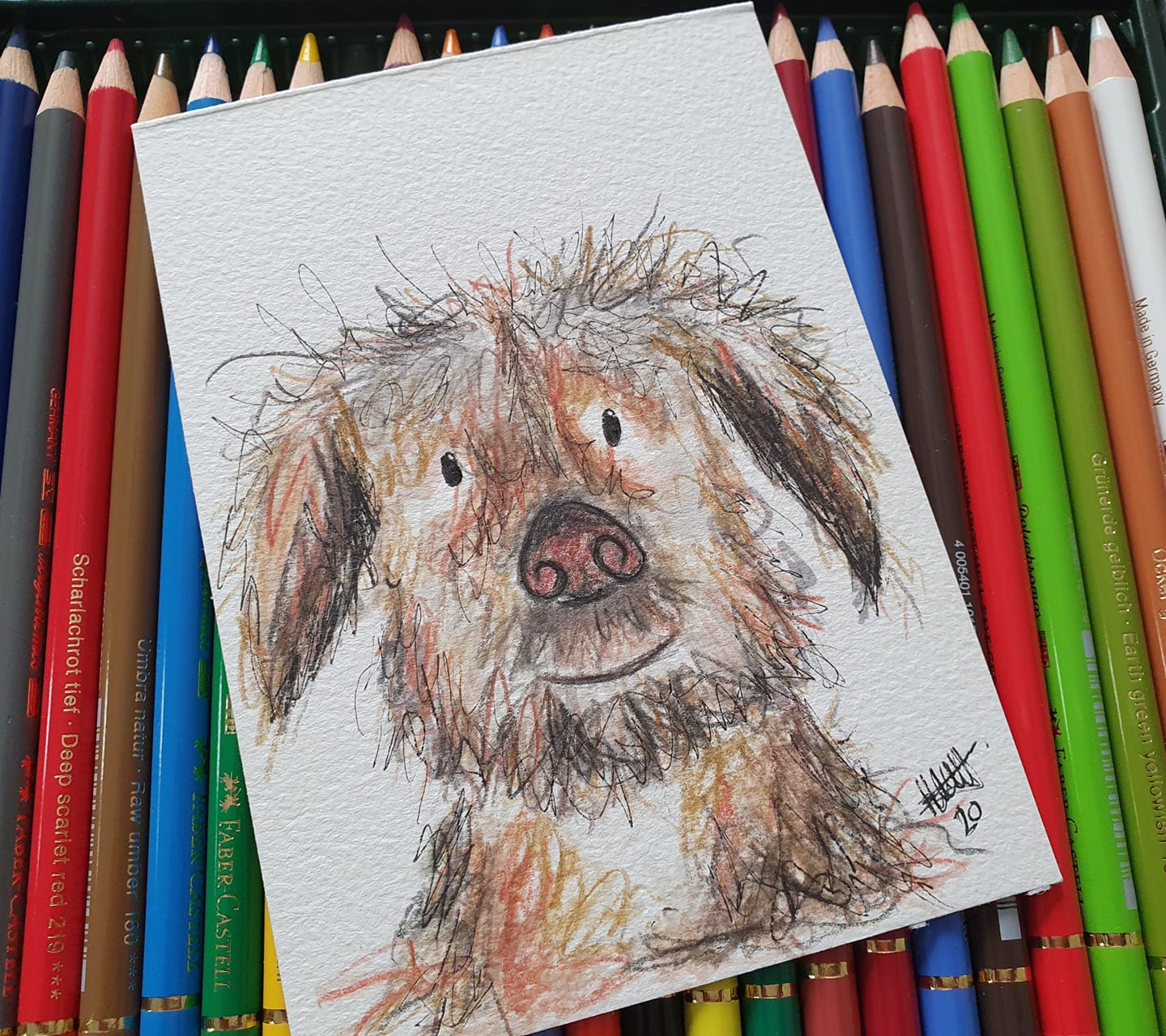 Scruff little dog illustration
