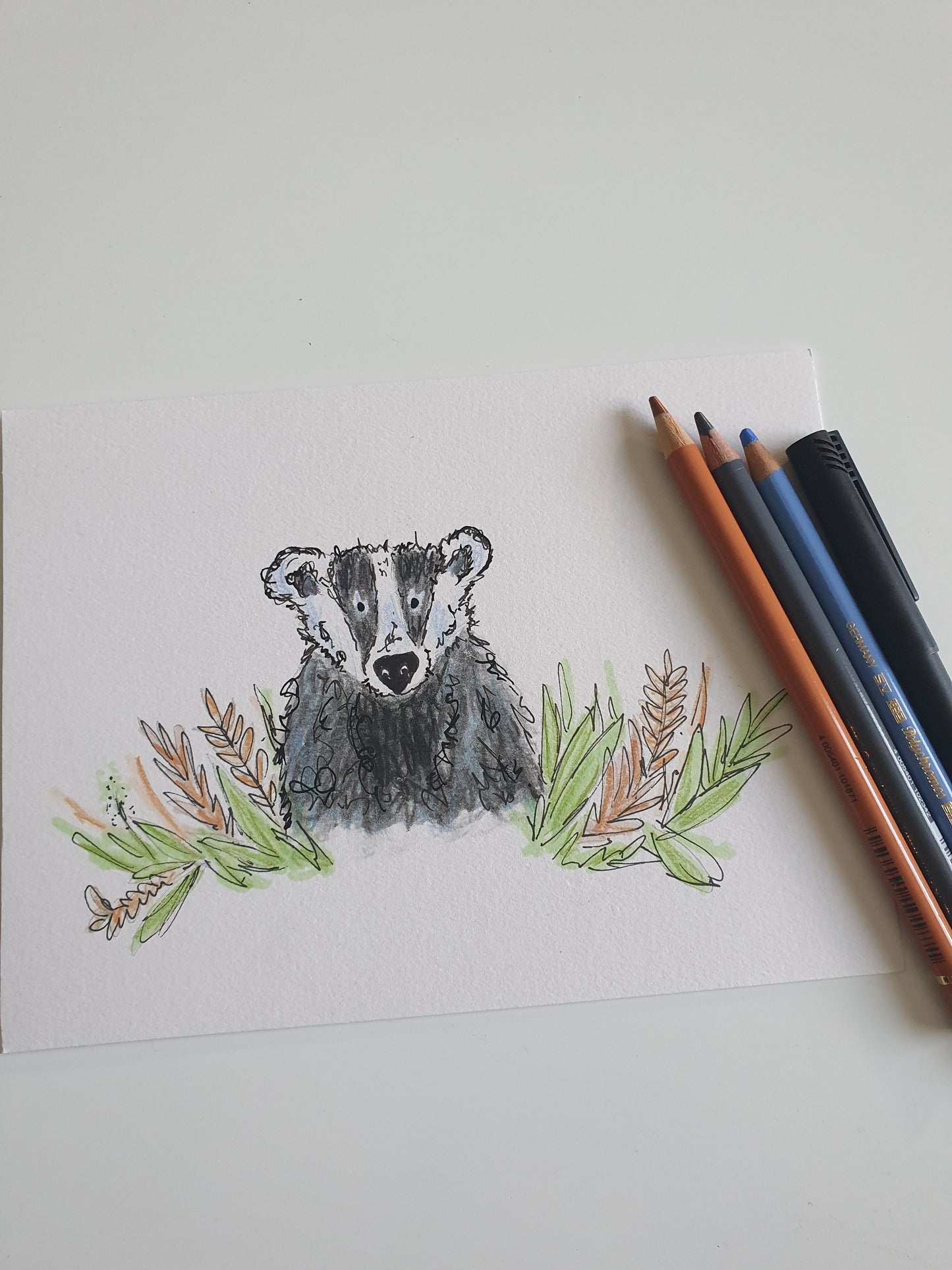 Badger illustration 'Billy'
