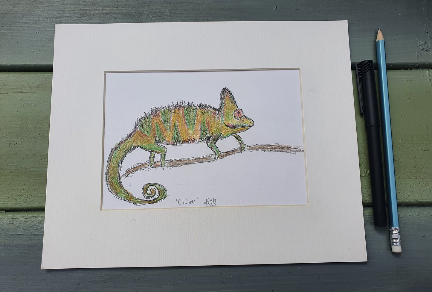 Clive chameleon illustration