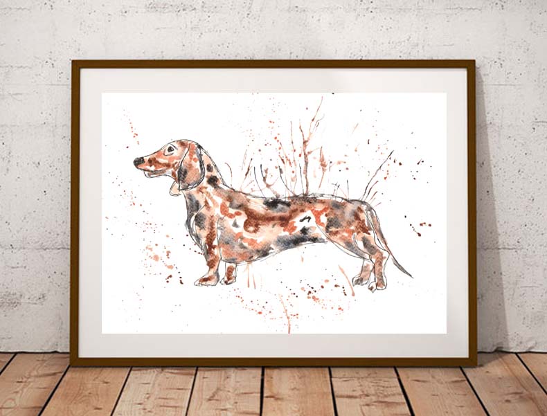 Dachshund fine art print