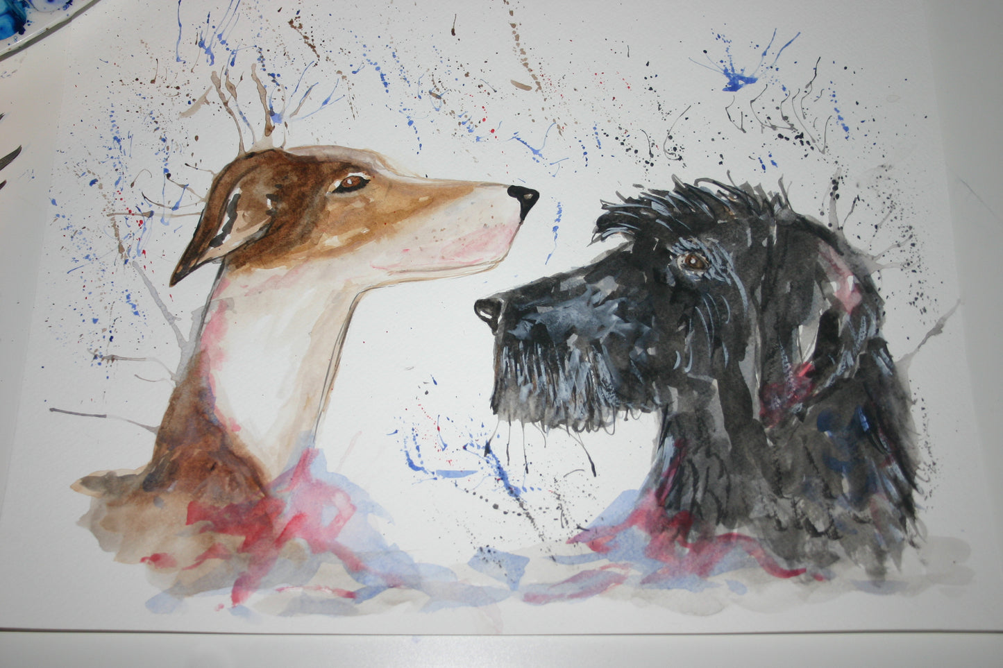 Custom pet portrait