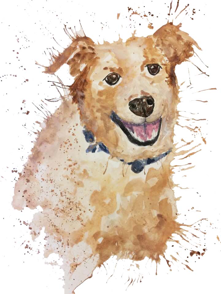 Custom pet portrait