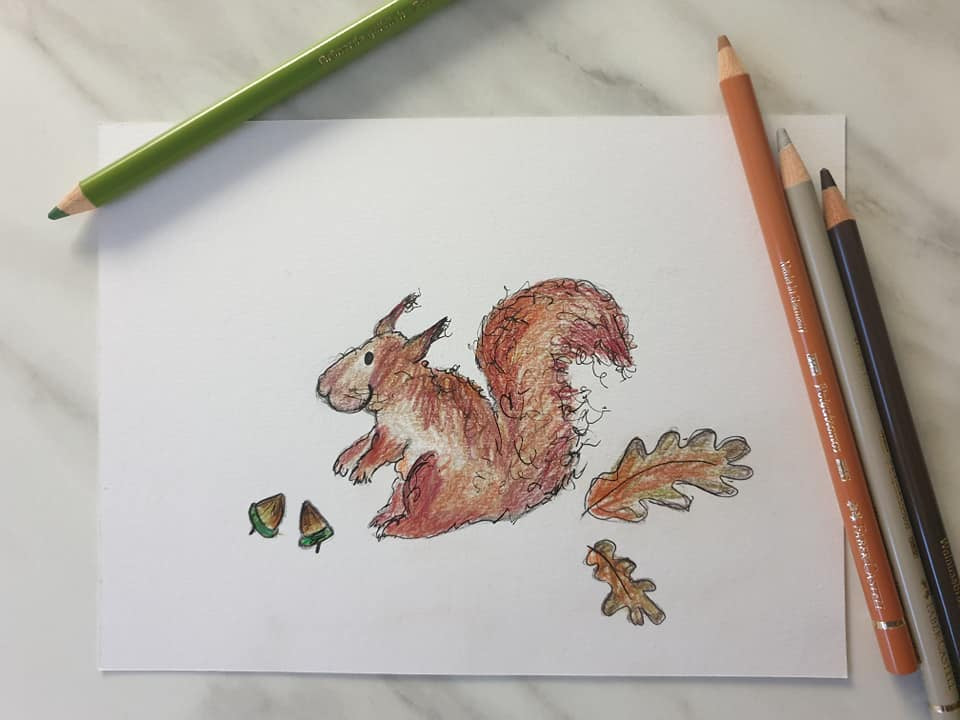 Gwyneth red squirrel illustration