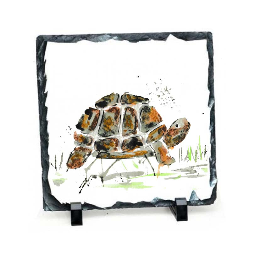 Tortoise slate plaque