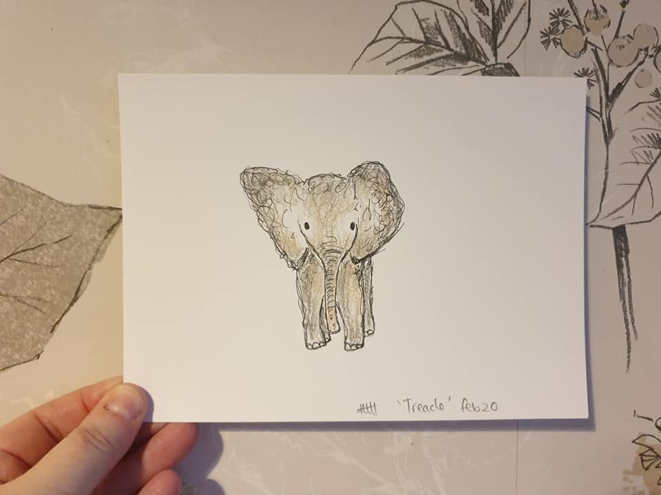 Treacle 'Elephant' illustration
