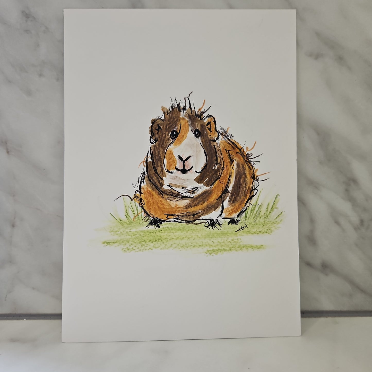 Guinea pig original