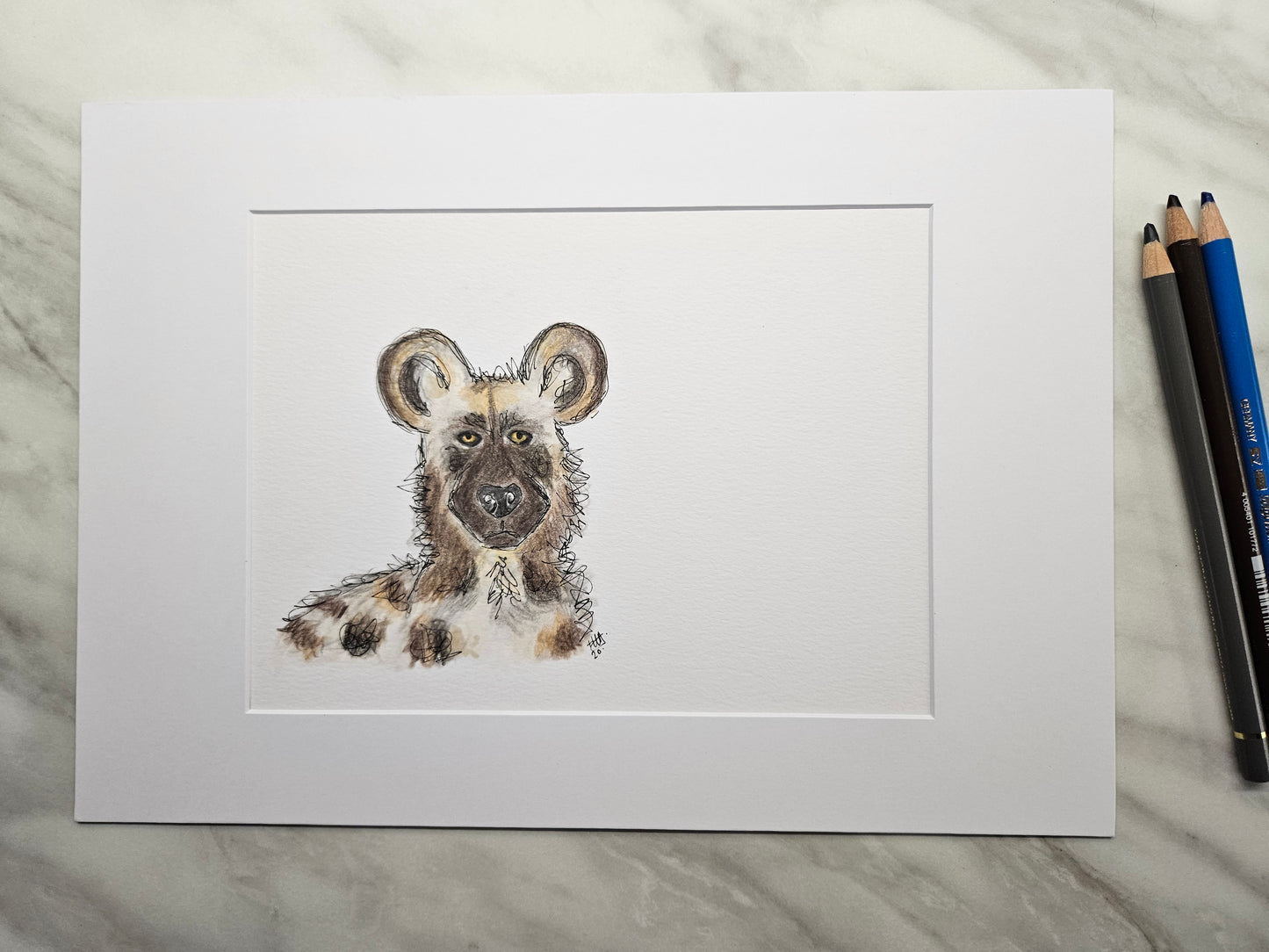 'Hasani' African Painted Dog illustration