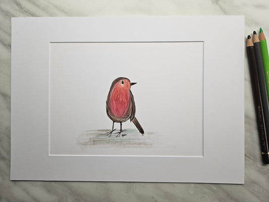 Little robin illustration