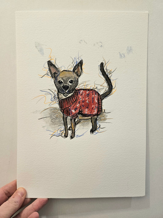 Caya siamese cat