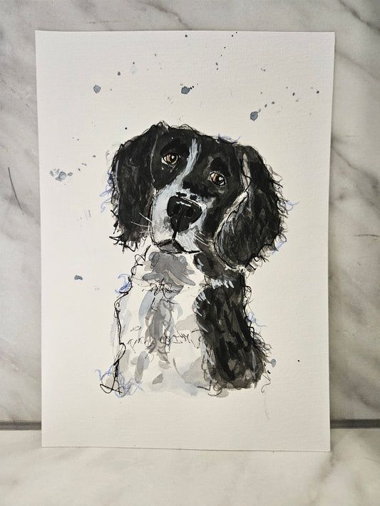 Brucie-June dog a day