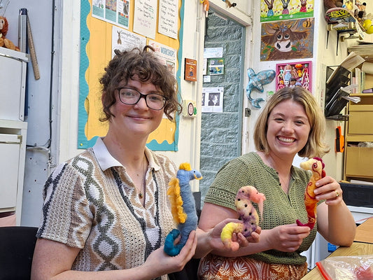 Make a felted seahorse or sea creatures - Friday 10th July 1-3pm and 6-8pm
