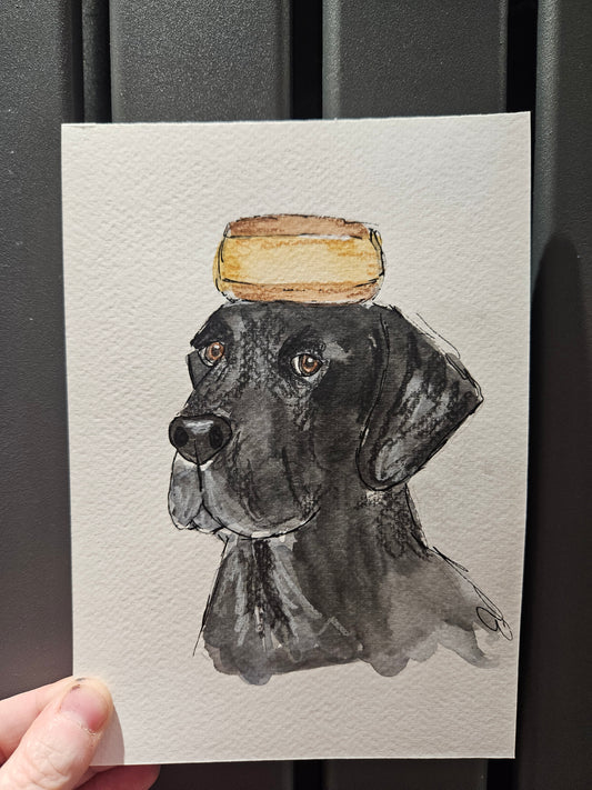 Day 11- Beano with his doughnut crown!