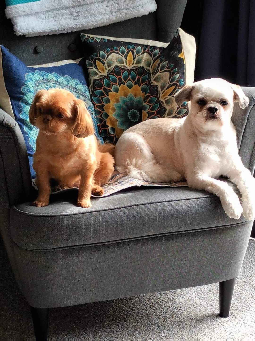 April 1st- Ozzy and Maddie