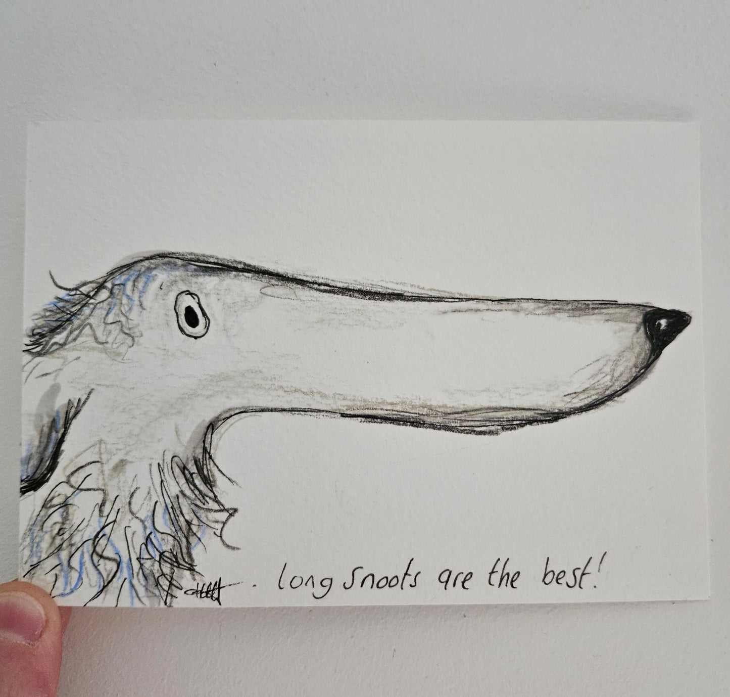 Long Snoot dog illustration
