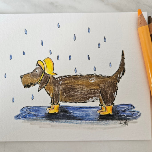 Dachshund 'Wallace' illustration