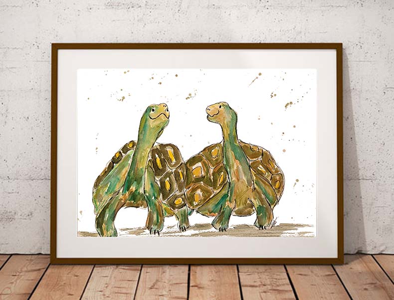 Tortoises - Max and Paddy fine art print