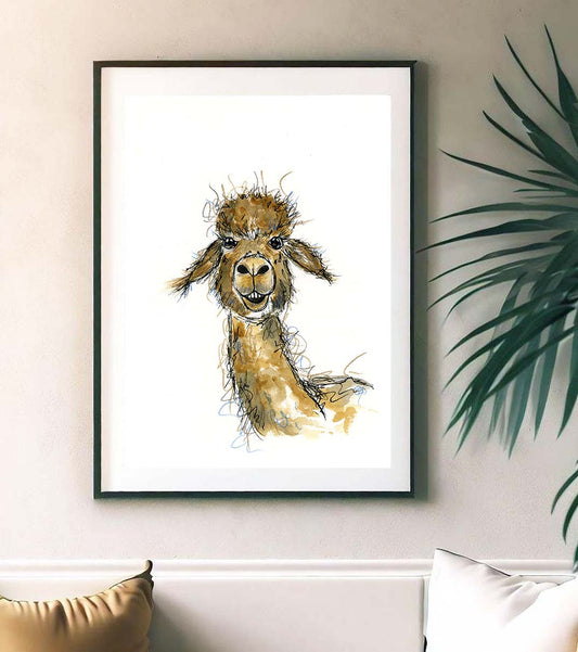 Alpaca - Bernard fine art print