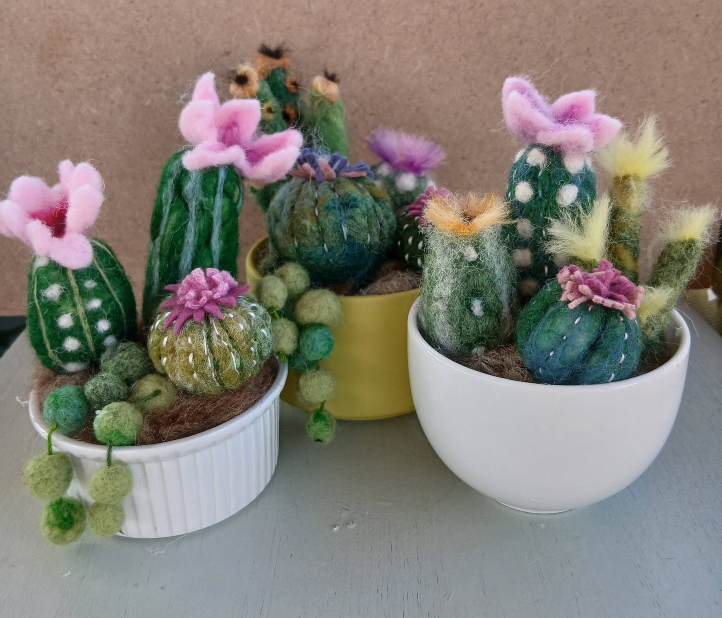 Make felted cacti or flowers workshop - Sat 12th September 10-12