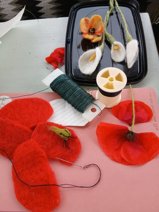 Make felted insects and flowers- Friday 19th June 1-3pm AND 6-8pm