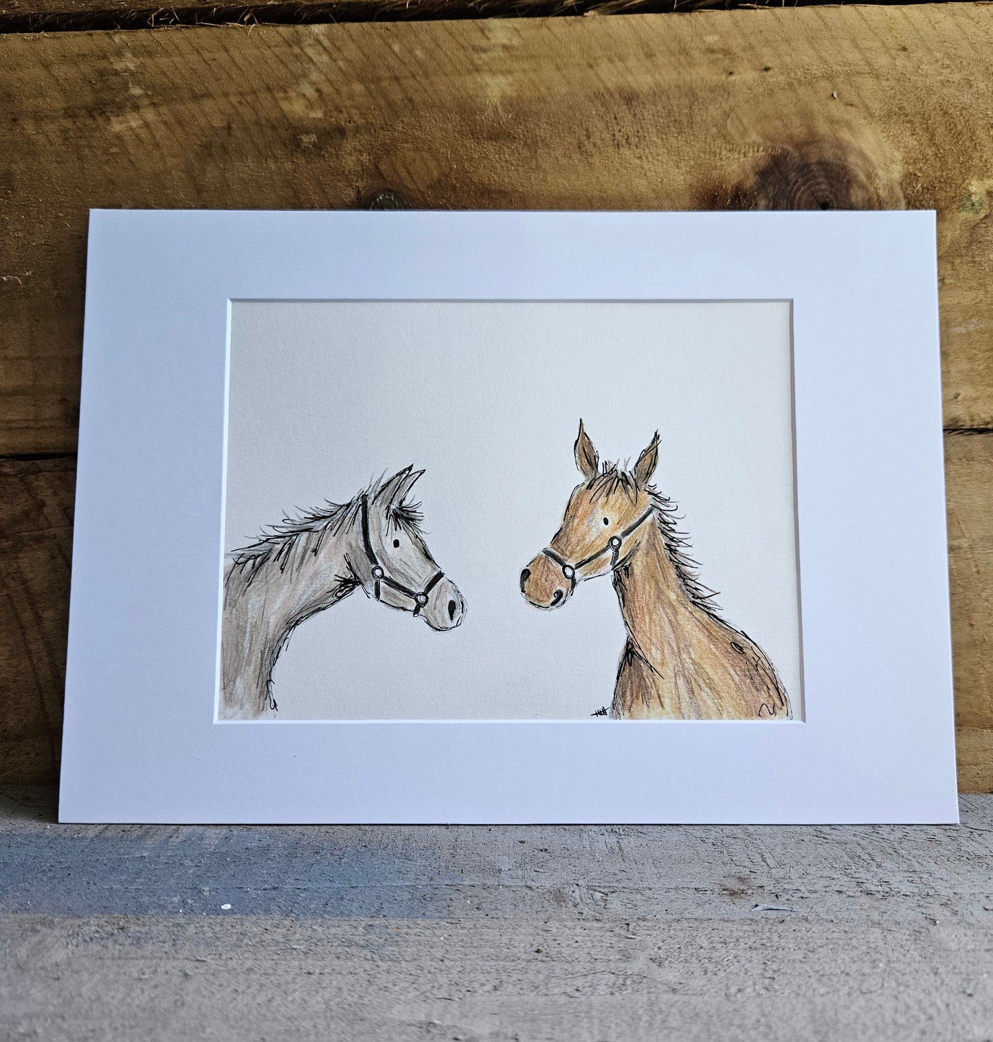 Horses 'Charlie and Willow' illustration