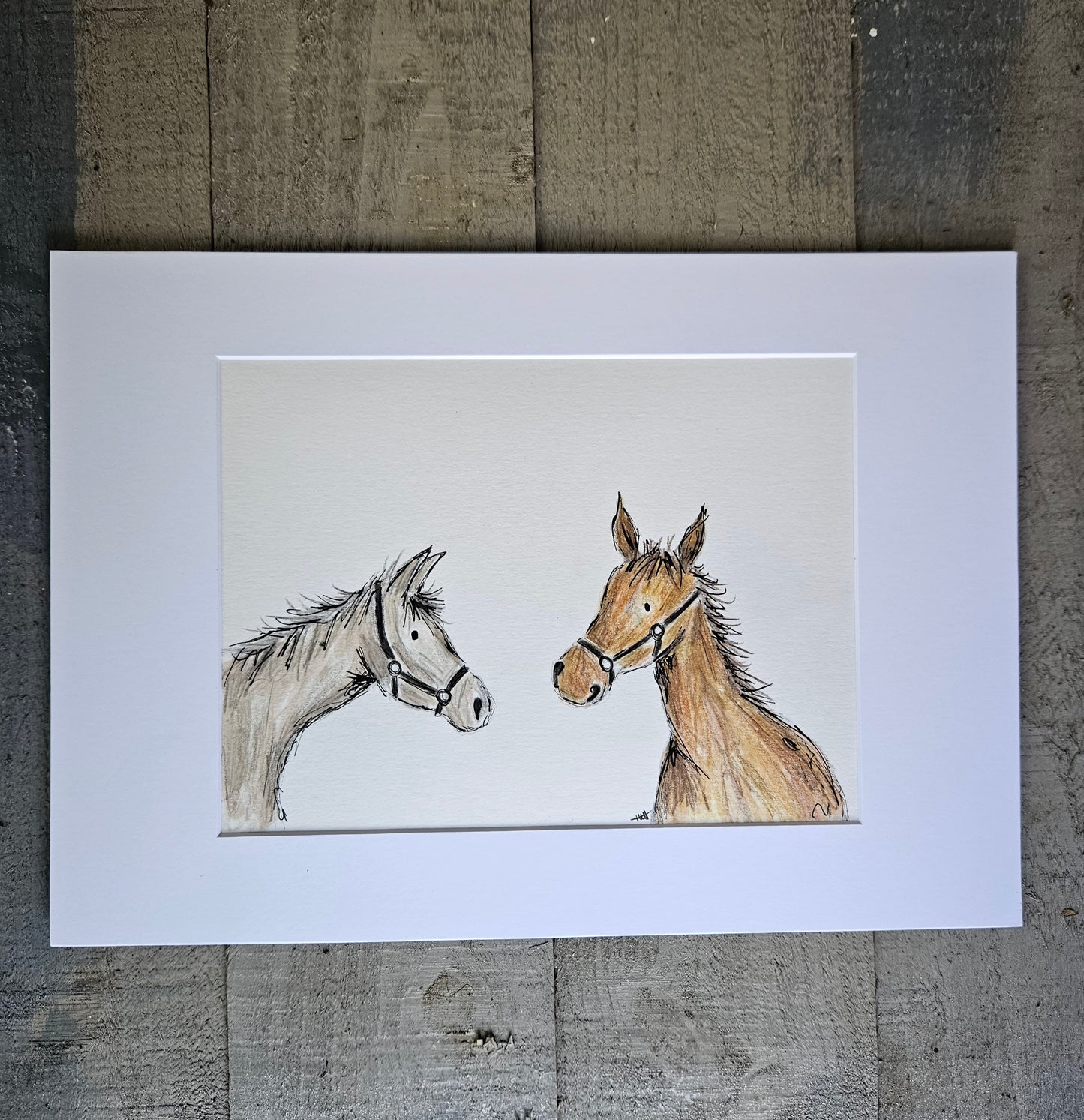 Horses 'Charlie and Willow' illustration