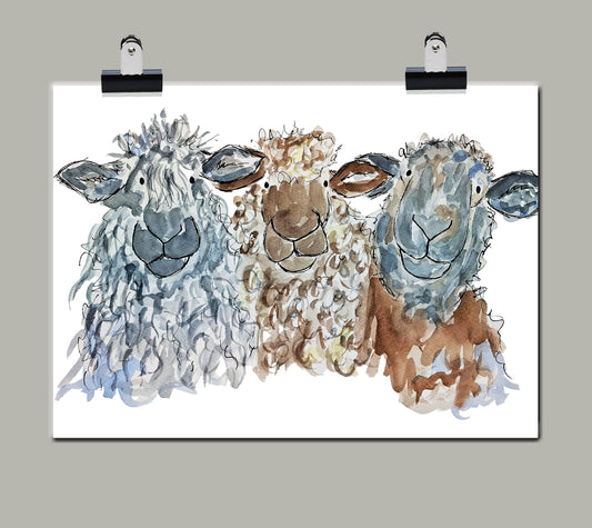 Paint sheep using watercolours- Sat 22nd Aug 10.30-12.30