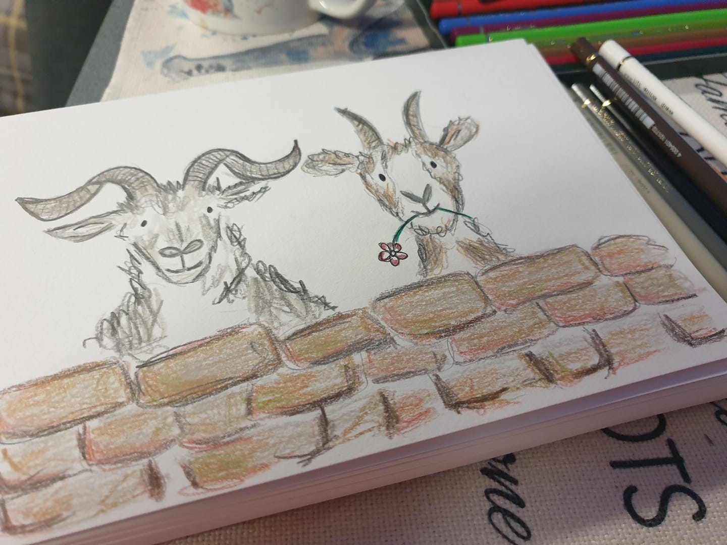 Jeremy and Jemima goats illustration
