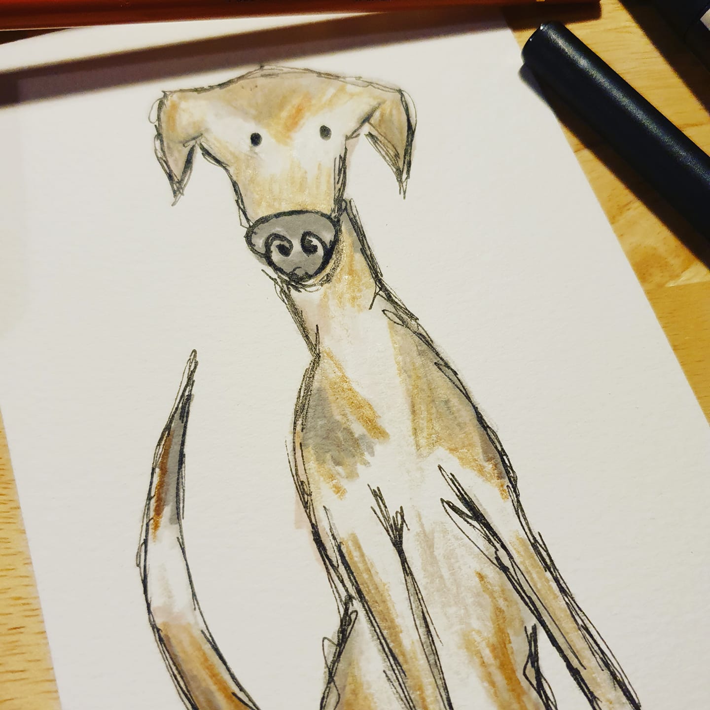 Greyhound illustration