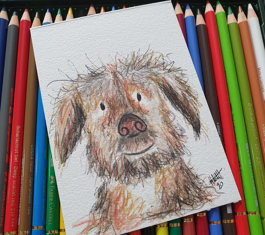 Scruff little dog illustration