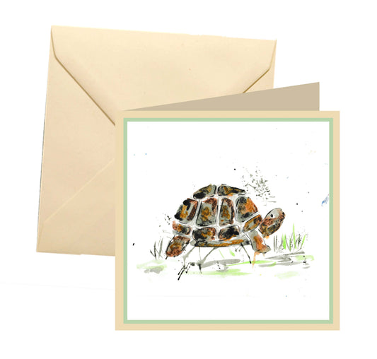 Tortoise blank card