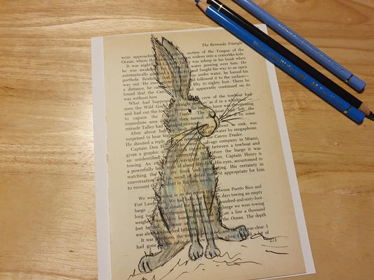 Hare 'Bobbin' illustration
