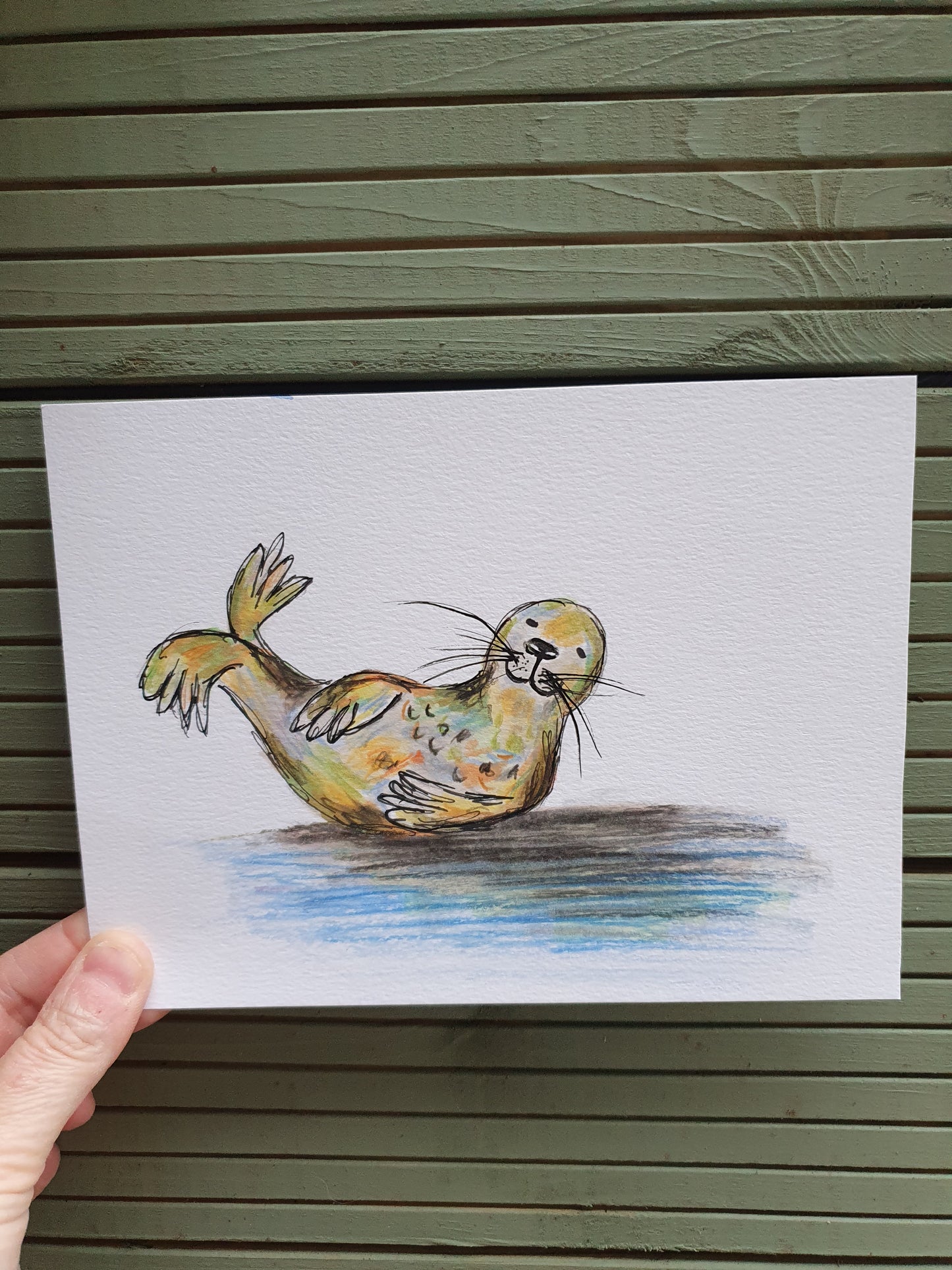 Seal illustration 'Jim'