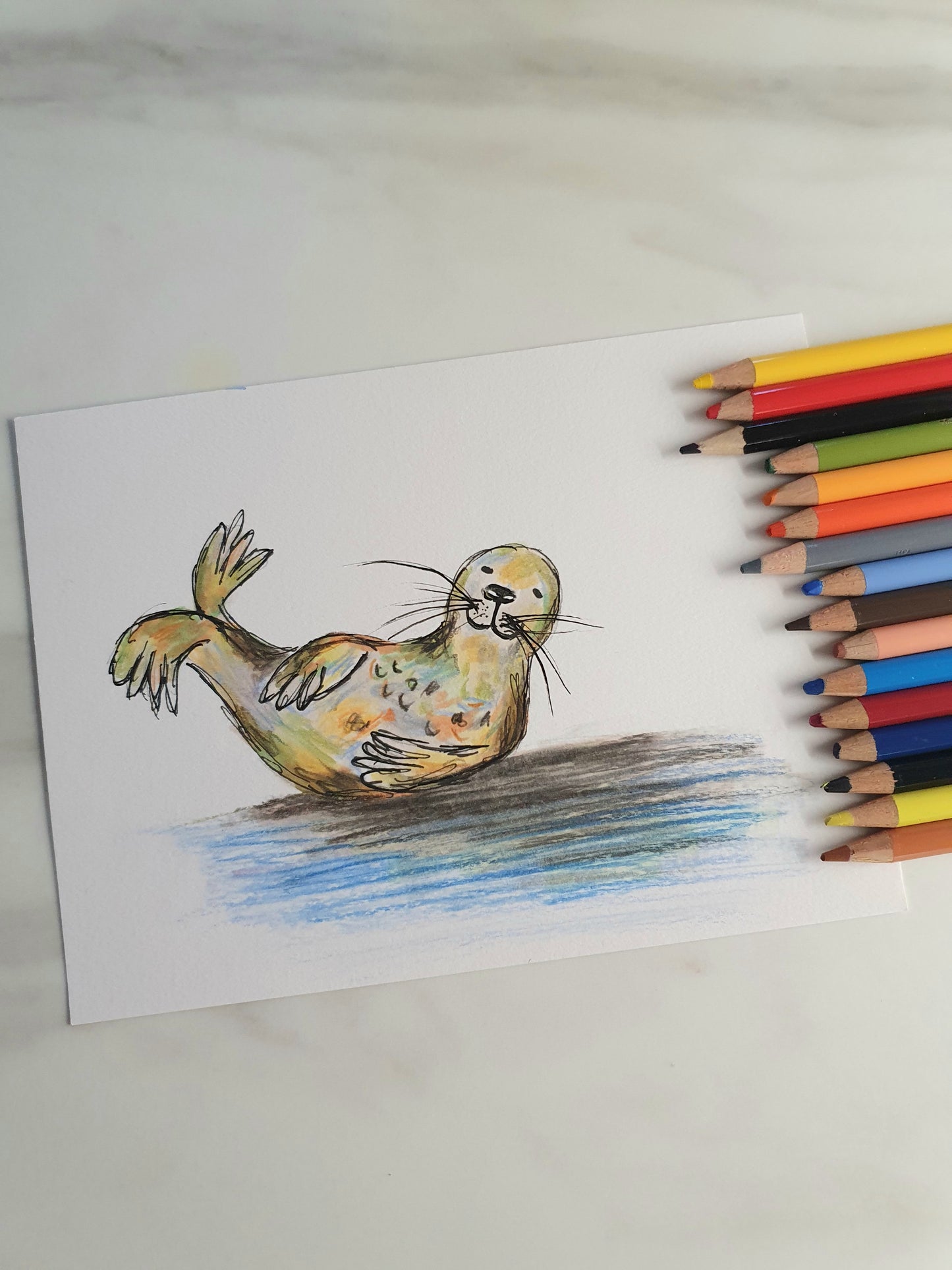 Seal illustration 'Jim'