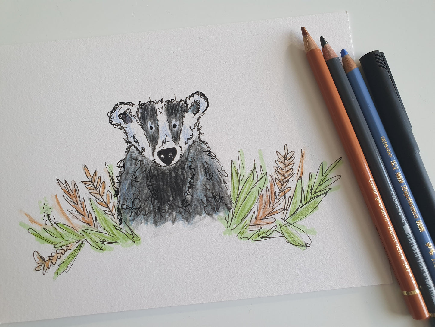 Badger illustration 'Billy'