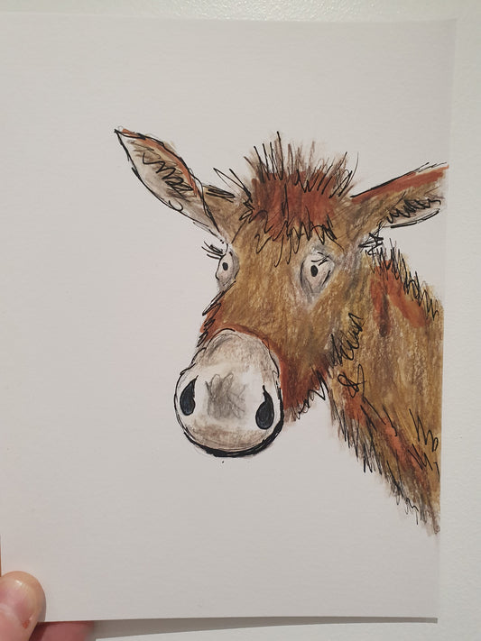 Derek donkey illustration