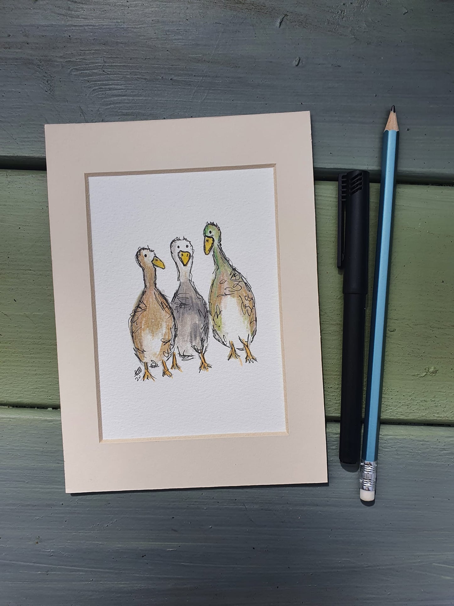 3 little ducks illustration