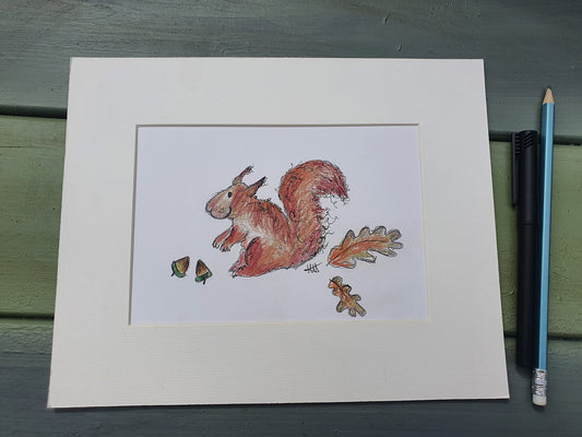 Gwyneth red squirrel illustration