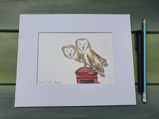 'Twins' Owls illustration