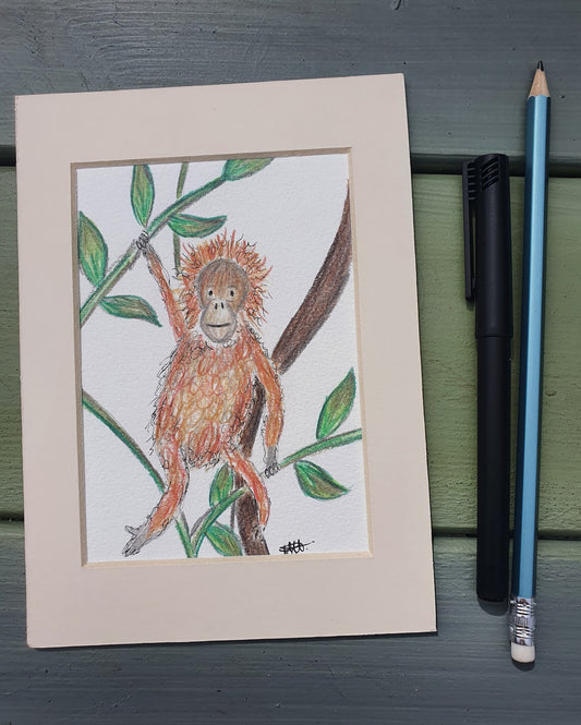 Timmy the orangutan illustration