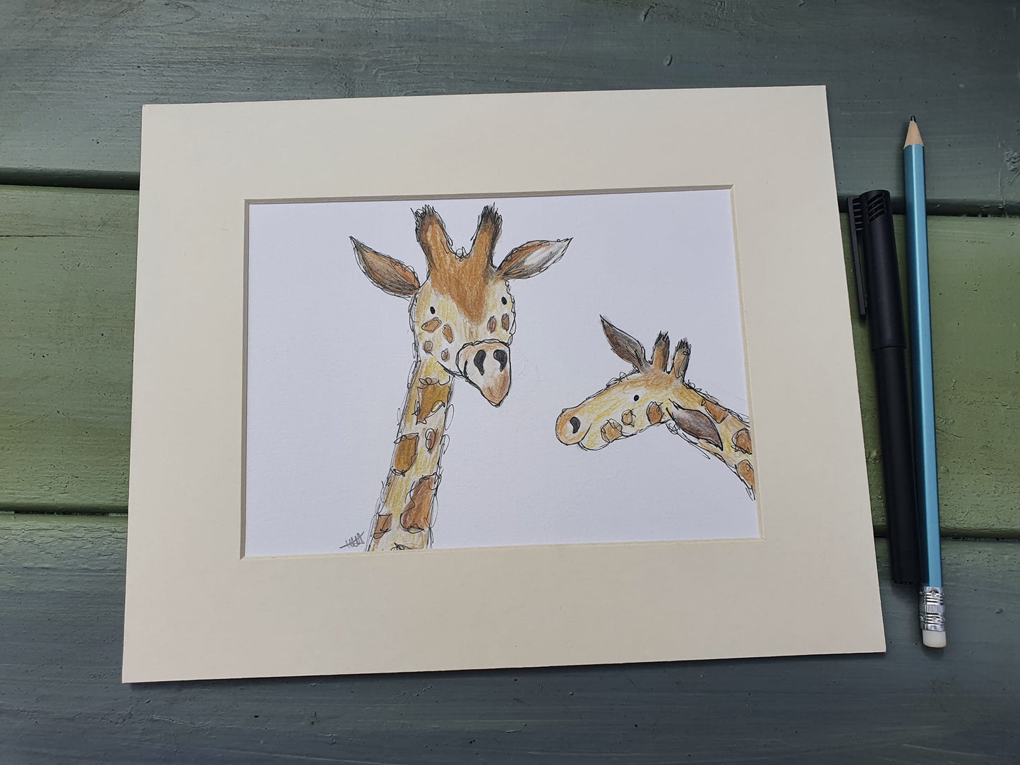 Giraffes illustration