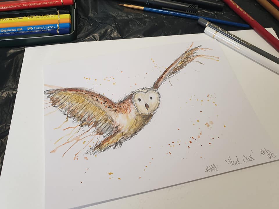 Hoot owl illustration